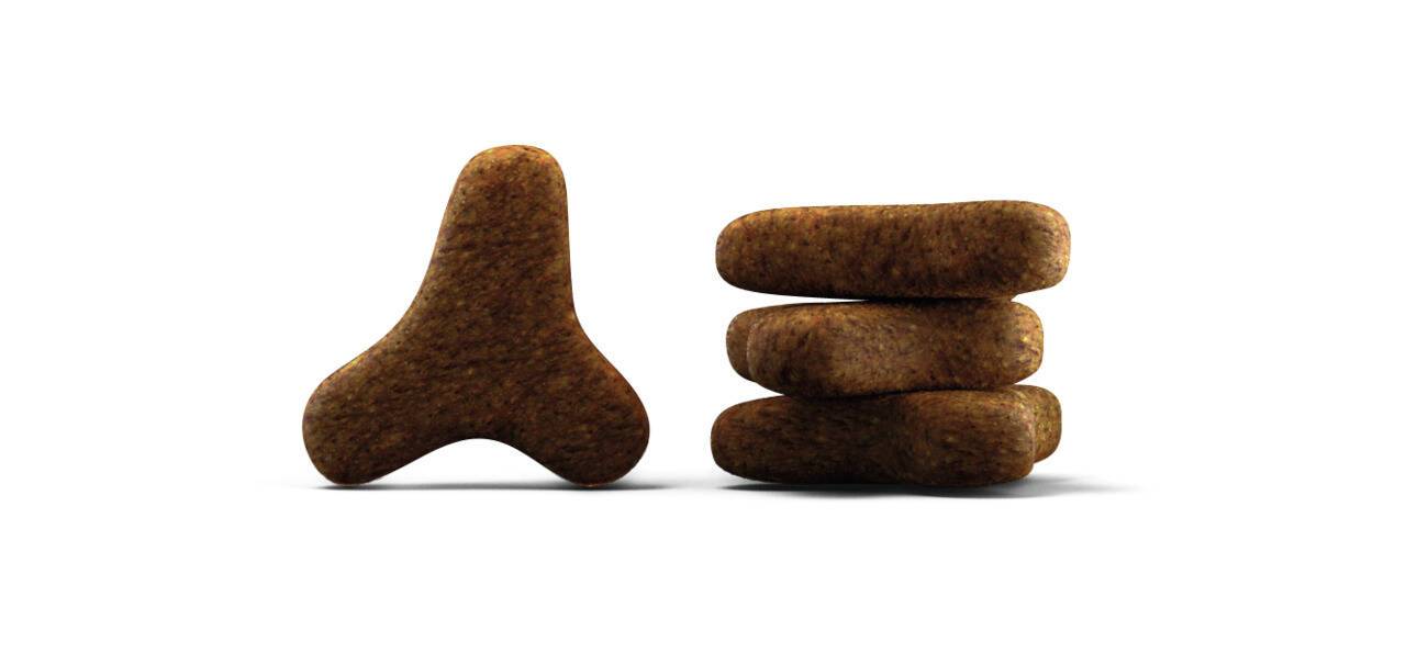 غذای خشک گربه گسترواینتستینال جوسرا Josera